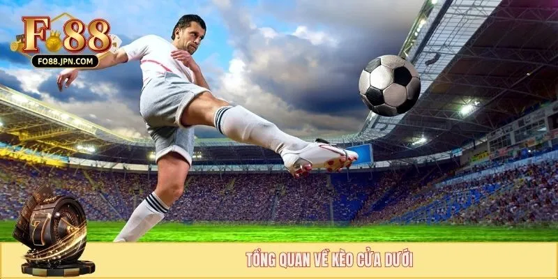 Tổng quan về kèo cửa dưới