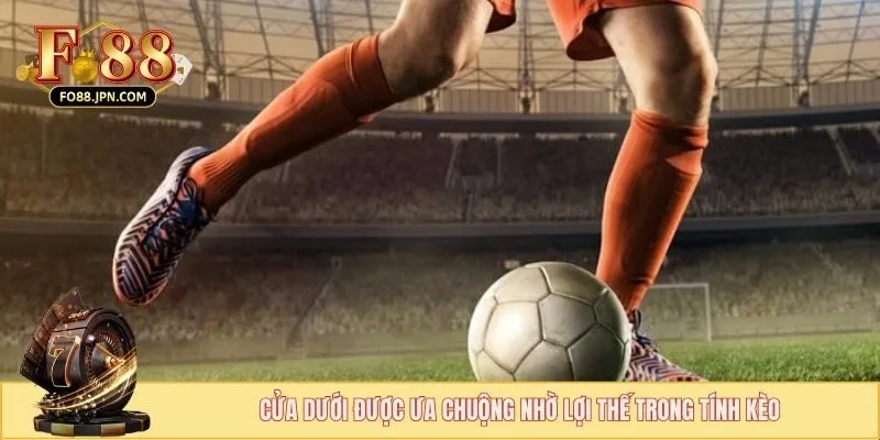 Cửa dưới được ưa chuộng nhờ lợi thế trong tính kèo