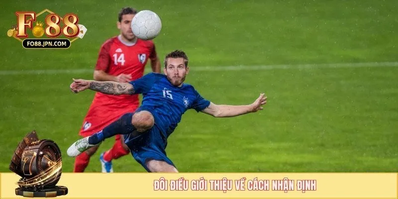 Cách Nhận Định Phong Độ Đội Bóng - Hướng Dẫn Chuẩn 2025 2 Một vài thông tin về cách nhận định phong độ đội bóng
